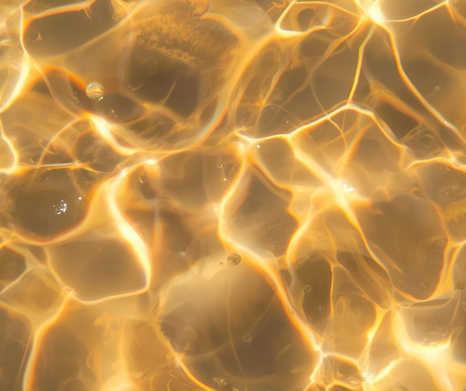 בדיקת מי בריכה ביתית